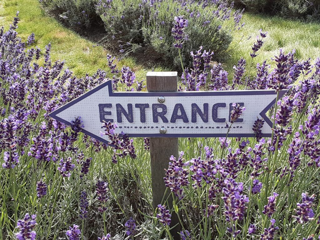 Wooden arrow-shaped sign with the word 'Entrance' painted thereon.