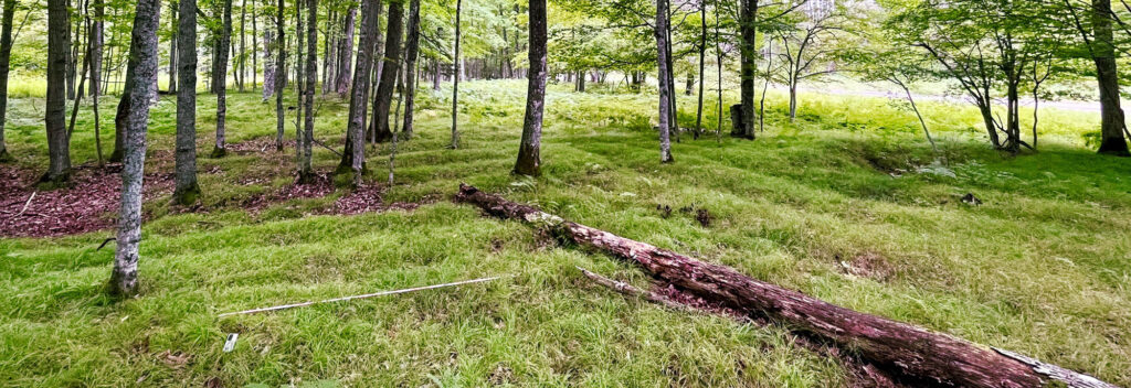 Archaeological site investigating ancestral Menominee agriculture in northern Michigan.